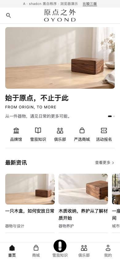 shadcn 黑白秩序的实际浏览器首页截图
